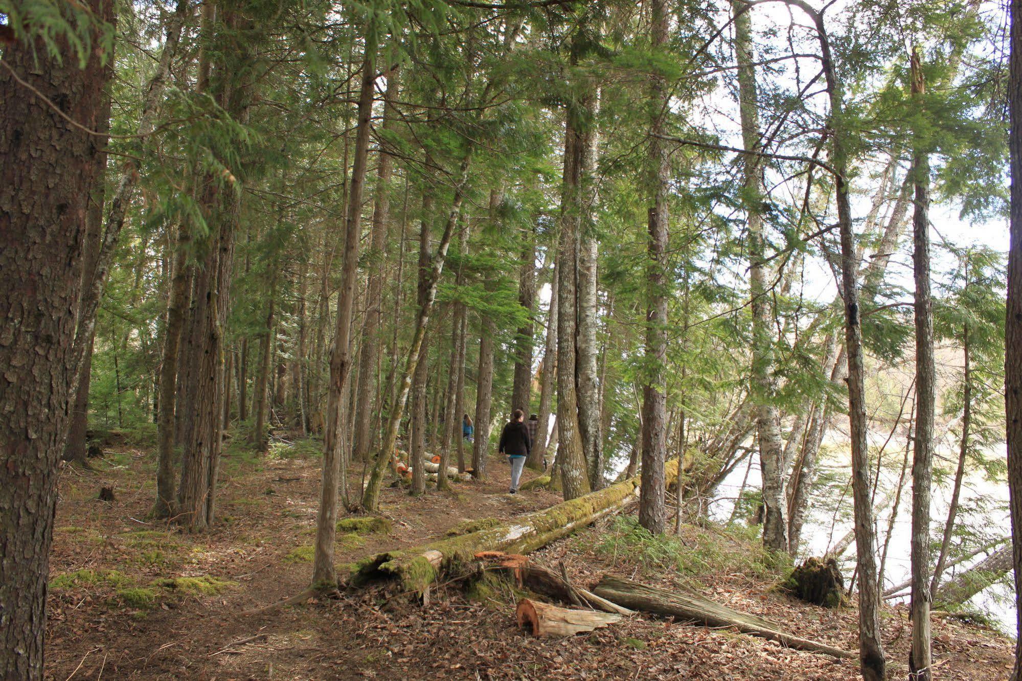 Hidden Acres Farm And Treehouse Resort Тірейс Екстер'єр фото
