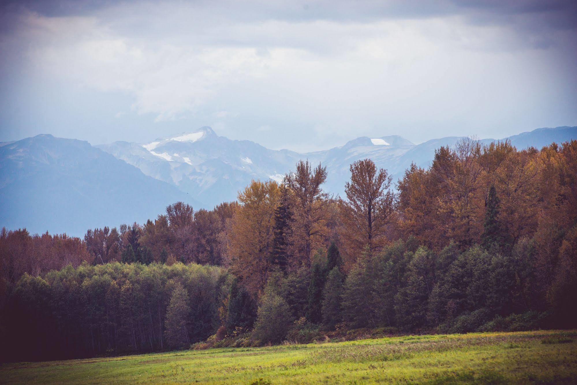 Hidden Acres Farm And Treehouse Resort Тірейс Екстер'єр фото
