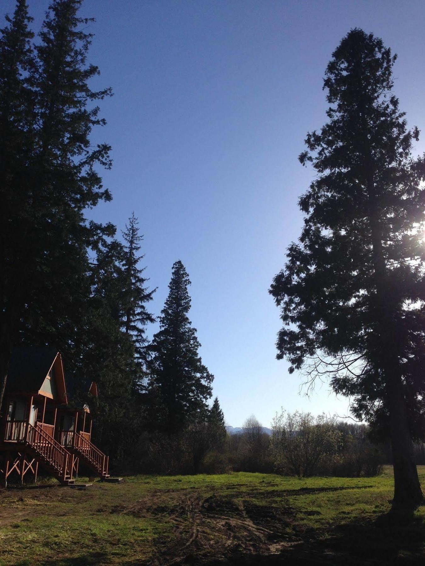 Hidden Acres Farm And Treehouse Resort Тірейс Екстер'єр фото